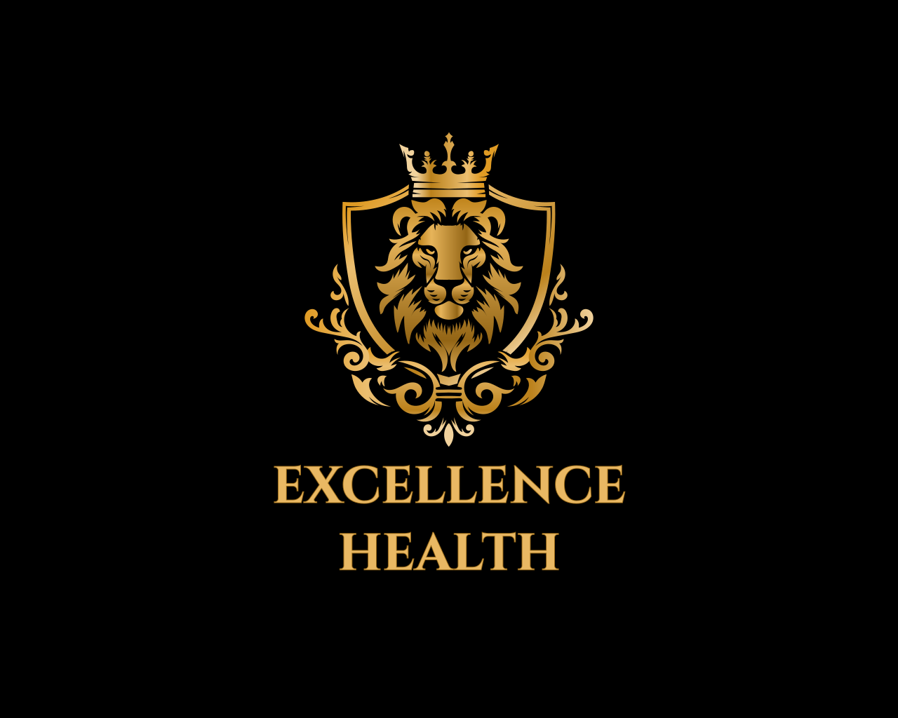 Guide to ExcellenceHealth.pdf